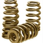 What Valve Springs are best for my engine?